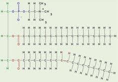 polymers and monomers