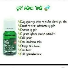Farmasi Karaman Adli Kullanicinin Farmasi Cayagaci Panosundaki Pin Sivilce Izi Cilt Ipuclari Dogal Cilt