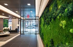 Vertical Garden Preserved Plants For Interior Walls Planters Ceilings