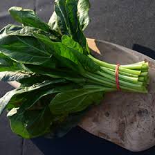 Image result for Spinacia oleracea