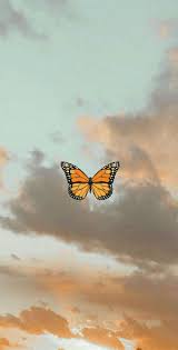 See more ideas about fundaluri, imagine, poze de fundal. Pin By Annie Curtis On Papel De Parede Butterfly Wallpaper Iphone Iphone Wallpaper Tumblr Aesthetic Butterfly Wallpaper