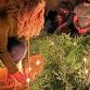 Winter Solstice Celebration of Inner Light event image