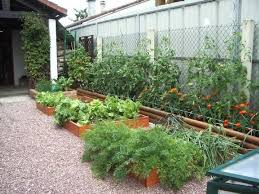 Votre Petit Potager Urbain Edito De Philippe Ferret City Farm Food Garden Plants