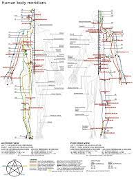 Meridian chart acupuncture