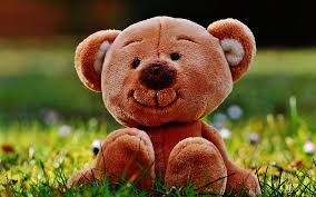 We did not find results for: Teddy Bear Pink Bear Cute Toy Hd Wallpaper Peakpx