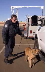 If the detector is held still over a metal object the. Explosive Detection Wikipedia