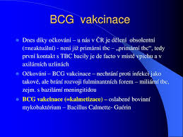 Systém digitálneho predplatného webu hospodárskych novín hnonline.sk a ostatných titulov vydavateľstva mafra slovakia. Ppt Tuberkuloza Powerpoint Presentation Free Download Id 4390369