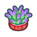 His birthday is on june 9th. Guide June Deep Sea Creature List New Horizons Animal Crossing Wiki Fandom