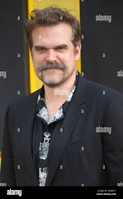 David ng hi-res stock photography and images