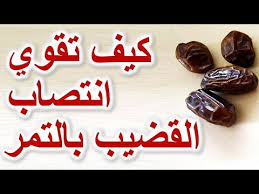 pin on معلومات عامه