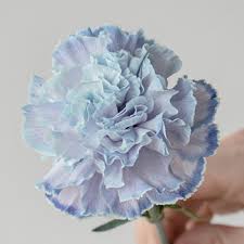 Dusty blue, orange, yellow, coral flowers vector wedding bouquets. Dusty Blue Wedding Flower Carnations Diy Wedding Flowers Fiftyflowers