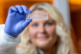 Deconstructing the Body