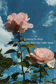 Pin On Flowers Wallpapers