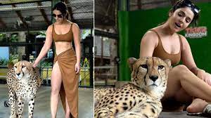 WATCH VIDEO: स्कर्ट और बिकिनी पहनकर खूंखार जानवर के साथ घूमने लगी महिला,  लोग बोले- चीता को देखो बॉयज | Viral video of woman walking with leopard  in sexy thigh high dress -