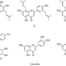 Those who commute to work or take road trips regularly, especially over long distances, may have come across toll plazas where you pay to cross over into another region. Chemical Structures Of Flavonoids 1 4 From E Koreanum Nakai And Download Scientific Diagram