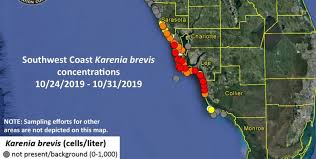 Fwc Low Levels Of Red Tide Detected Off Pinellas County