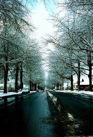 30 lynden ideas lynden bellingham whatcom county pinterest