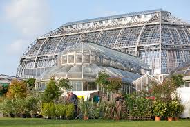 Trotzdem gibt es am wochenende jede menge grüne natur zu sehen, und damit meine ich nicht die gewächshäuser. Geschmackliche Vielfalt Und Essbare Bluten Berliner Staudenmarkt Im Botanischen Garten Weltexpress