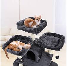 Unfortunately, domestic cats do not always meet this need. Cat Tree Feandrea Review 2020 Furry Friends Gear