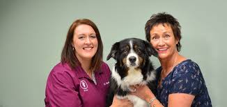 The mission of whole pet veterinary hospitals is to help people take the best possible care of their pets by providing a variety of treatment options, both traditional and alternative, to achieve maximum results while working within the budget and personal goals of our clients. Veterinarian In Crystal Lake Illinois Mchenry County S Leading Small Animal Veterinary Hospital