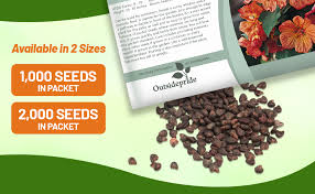 Image result for Abutilon sp.no.2