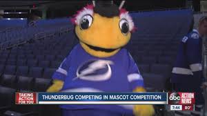 Tampa bay arena, lp on vastuussa tästä sivusta. Thunderbug Competes For Title Youtube