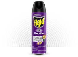 How to get rid of fleas fast. Raid Flea Killer