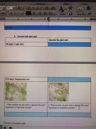 Plant cell kept in a hypotonic solution. Abc Styles Text Box B Osmosis With Plant Cells Chegg Com