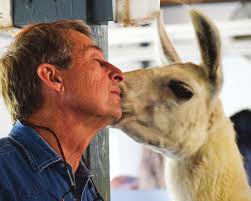 All Creatures Great & Small