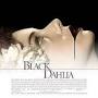The Black Dahlia (film) from en.wikipedia.org