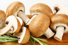 Die sind aber oft teuer und im kühlschrank relativ. Kann Man Champignons Roh Essen Tipp Kochbar De