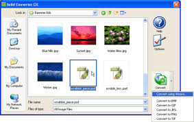 Ezgif is another popular online image converter that supports the conversion of png files to jpg formats. Come Posso Convertire Un File Psd Converti Jpg In Gif Converti Jpg In Png