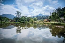Check spelling or type a new query. Kota Rainforest Resort Home Facebook