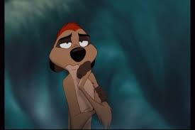 Image result for timon thinks grubs