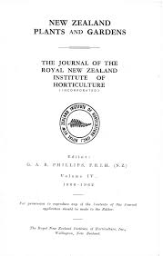 Image result for Erythrocephalum scabrifolium