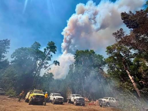 Mop-up efforts continue across the East Evans Creek Fire, with containment  rising to 38% tonight. Acreage remains the same at 15,705. A full update  will be released tomorrow morning