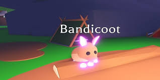 You can even ride them or give them the ability to fly. Best Pets In Roblox Adopt Me Pro Game Guides