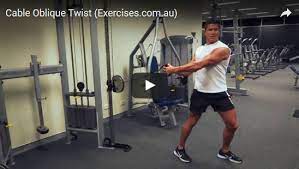 Start pivoting with your hips. Cable Oblique Twists Expert 2 03 Min How To Demo Video