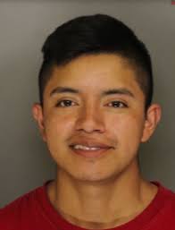 Home surveillance cameras help to nab prowler in New Garden