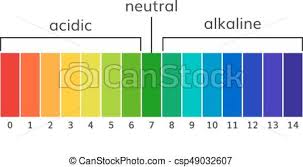 chart ph alkaline and acidic scale vector