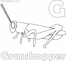 Coloring pages are fun for children of all ages and are a great educational tool that helps children develop fine motor skills, creativity and color recognition! G For Grasshopper Coloring Pages Pdf Coloringfolder Com