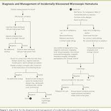 4 what are the causes of bladder cancer? Pdf Bladder Cancer Diagnosis And Treatment Semantic Scholar