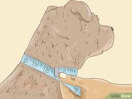 How do you put a bow on a dog's head? How To Make A Dog Bow Tie With Pictures Wikihow