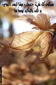 صور القادم اجمل sowarr com موقع صور أنت في صورة autumn leaves autumn inspiration leaves