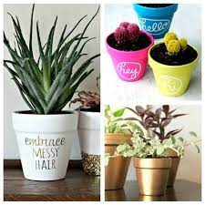 Then, the isolated mini fads came together, the official trend reports started forming, and suddenly desert decor was everywhere. 24 Beautiful Ways To Decorate Terracotta Pots A Cultivated Nest