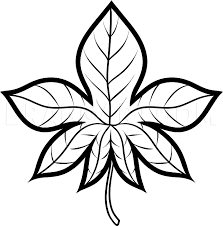 Maybe you would like to learn more about one of these? How To Draw An Autumn Leaf Step By Step Drawing Guide By Dawn Dragoart Com