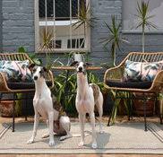 As one of the finest companies for property styling sydney urban chic will give you the best consultationat a cheaper rate. Urban Chic Property Styling Kogarah Nsw Au 2217 Houzz