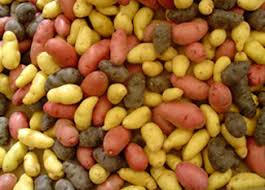 We will be harvesting and begin shipping in late october. When And How To Plant Potatoes
