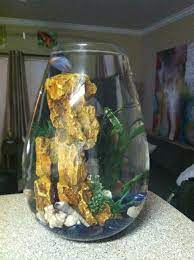 If you're keeping your male betta on his own, you might think he seems kinda things to consider before adding tank mates to your betta aquarium: Pin By Tracy T Simpson On My Crafts Betta Fish Bowl Glass Fish Bowl Fish Bowl Decorations