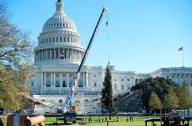We look forward to welcoming you to the cvc online gift shop. The U S Capitol Christmas Tree Arrives In Dc Usda